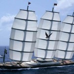 Le Maltese Falcon