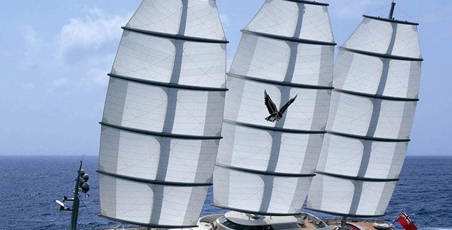 Le Maltese Falcon